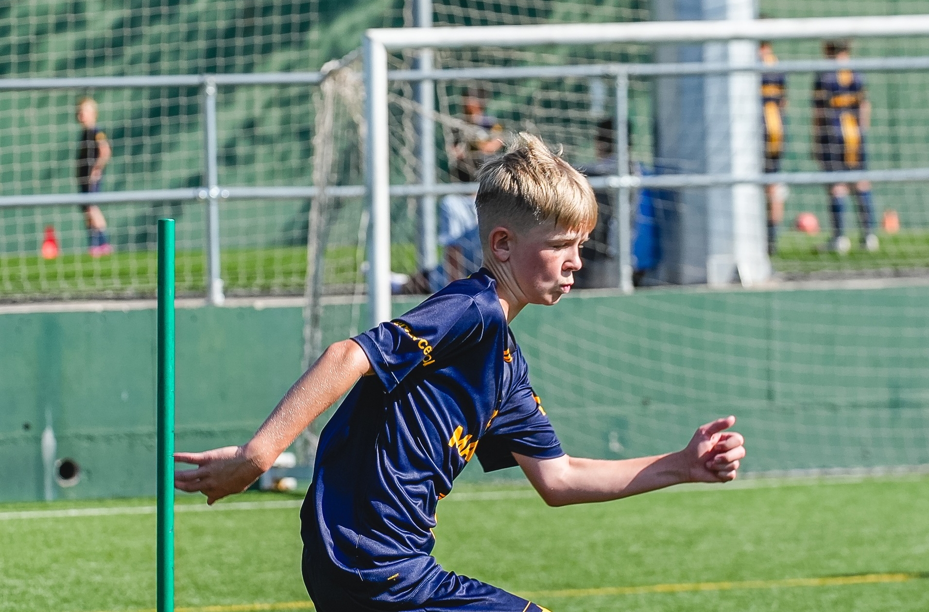 Professional Program